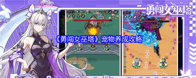 《勇闯女巫塔》宠物培养攻略