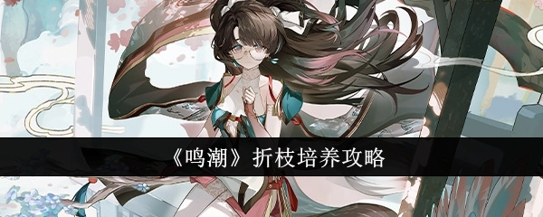 《鸣潮》折枝培育攻略