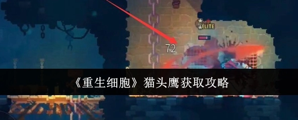 《重生细胞》中猫头鹰的获取攻略