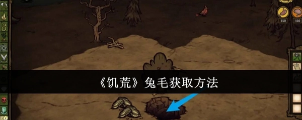 获取《饥荒》兔毛的方法