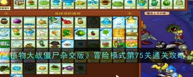 《植物大战僵尸杂交版》冒险模式第七十五关通关攻略