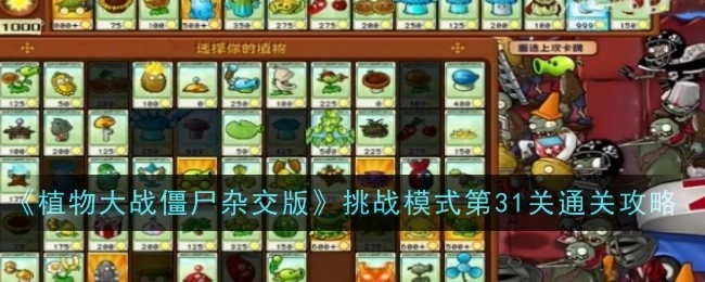 《植物大战僵尸杂交版》挑战模式第三十一关通关攻略