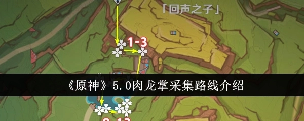 《原神》5.0版本肉龙掌采集路线全解析