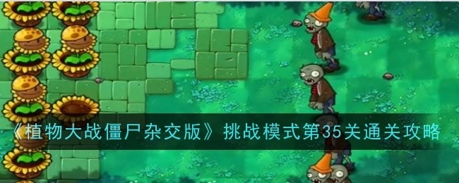 《植物大战僵尸杂交版》挑战模式第三十五关通关攻略