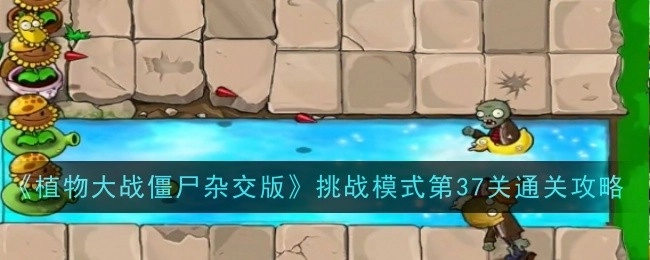 《植物大战僵尸杂交版》挑战模式第三十七关通关攻略