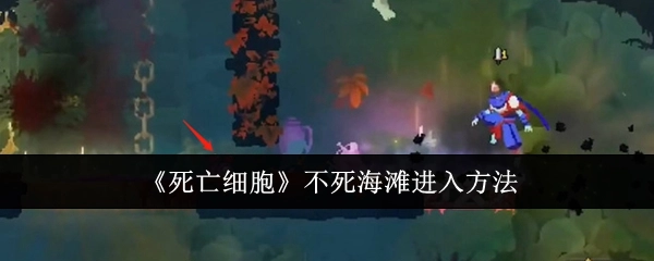 《死亡细胞》里不死海滩的进入方式