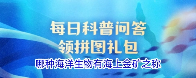 哪种海洋生物被称作海上金矿？