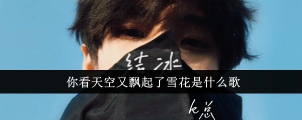 你知道那首“你看天空又飘起了雪花”的歌叫什么吗？