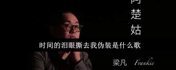 那首唱着“时间的泪眼撕去我伪装”的歌是什么？