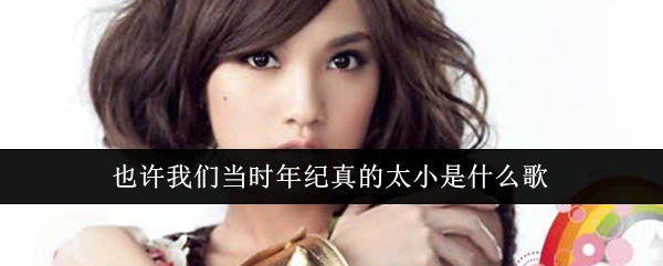 究竟哪首歌里有“也许我们当时年纪真的太小”这句话呢