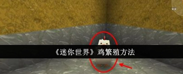 《迷你世界》里鸡的繁殖方式