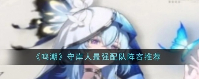 《鸣潮》守岸人超强力配队阵容推荐