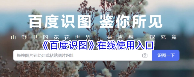 在线使用《百度识图》的入口