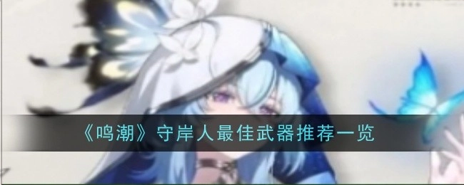 《鸣潮》守岸人武器最佳推荐大盘点
