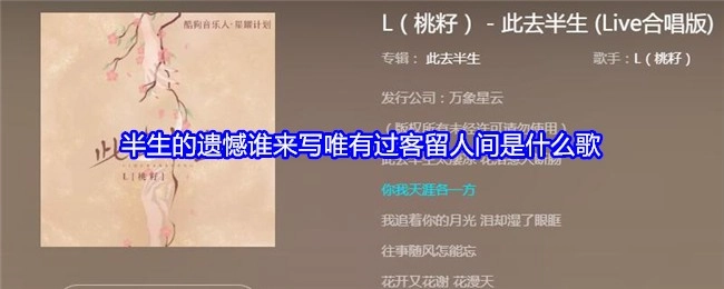 半生的遗憾由谁书写，唯有过客留存人间，这是什么歌？