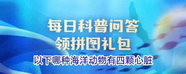 下面哪种海洋生物拥有四颗心脏？