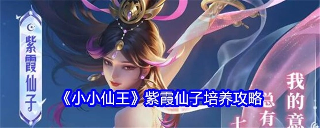 《小小仙王》里紫霞仙子的培养攻略