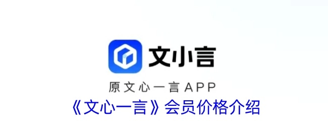 关于《文心一言》会员价格的说明