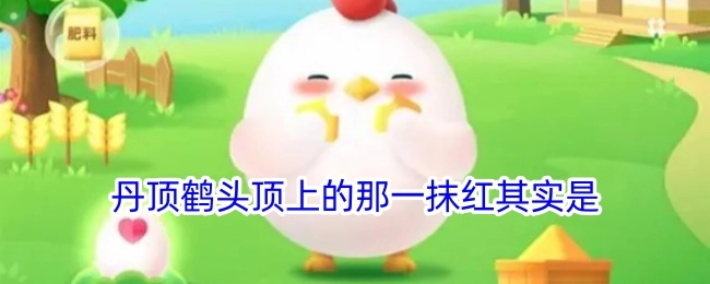 丹顶鹤头顶上的那片红色实际上是