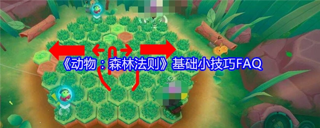 《动物：森林法则》基础小技巧常见问题解答