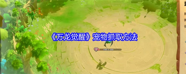 《万龙觉醒》里宠物的抓取办法