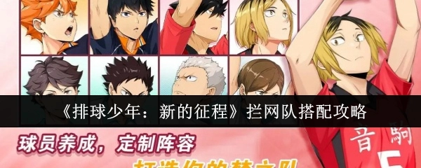 《排球少年：新的征程》拦网队伍搭配攻略