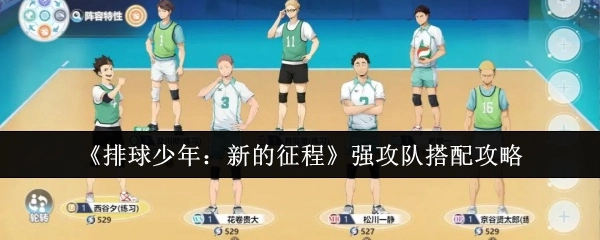 《排球少年：新的征程》强攻队组队搭配攻略