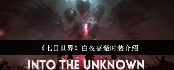 关于《七日世界》白夜蔷薇时装的说明