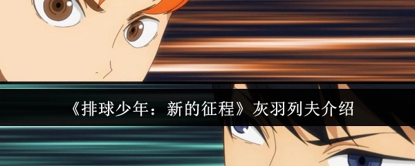 《排球少年：新的征程》中灰羽列夫的介绍