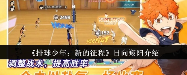 关于《排球少年：新的征程》中日向翔阳的介绍