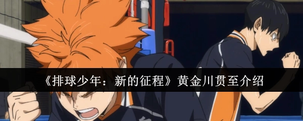 《排球少年：新的征程》中黄金川贯至的介绍