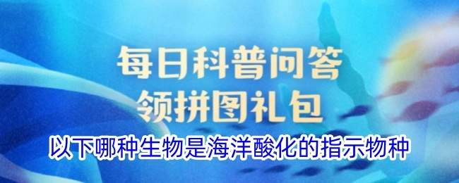 以下哪种生物可作为海洋酸化的指示物种？
