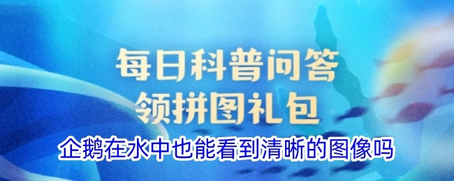 企鹅在水里是否也能看到清晰的图像呢？
