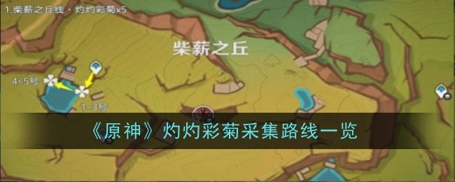 《原神》灼灼彩菊采集路线全览
