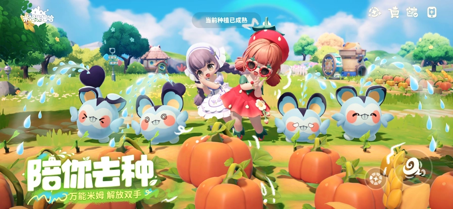 米姆米姆哈官服(2)