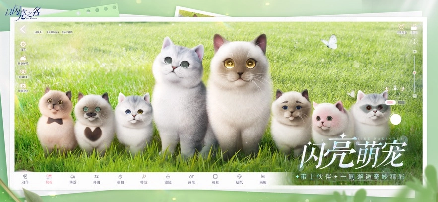 以闪亮之名正版