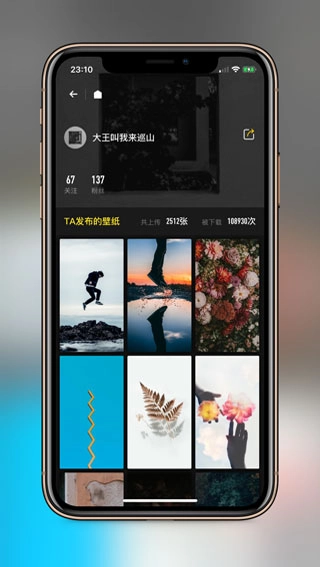 纸塘壁纸无限制图3