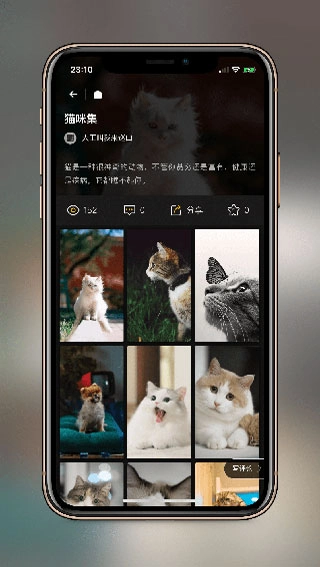 纸塘壁纸无限制图2