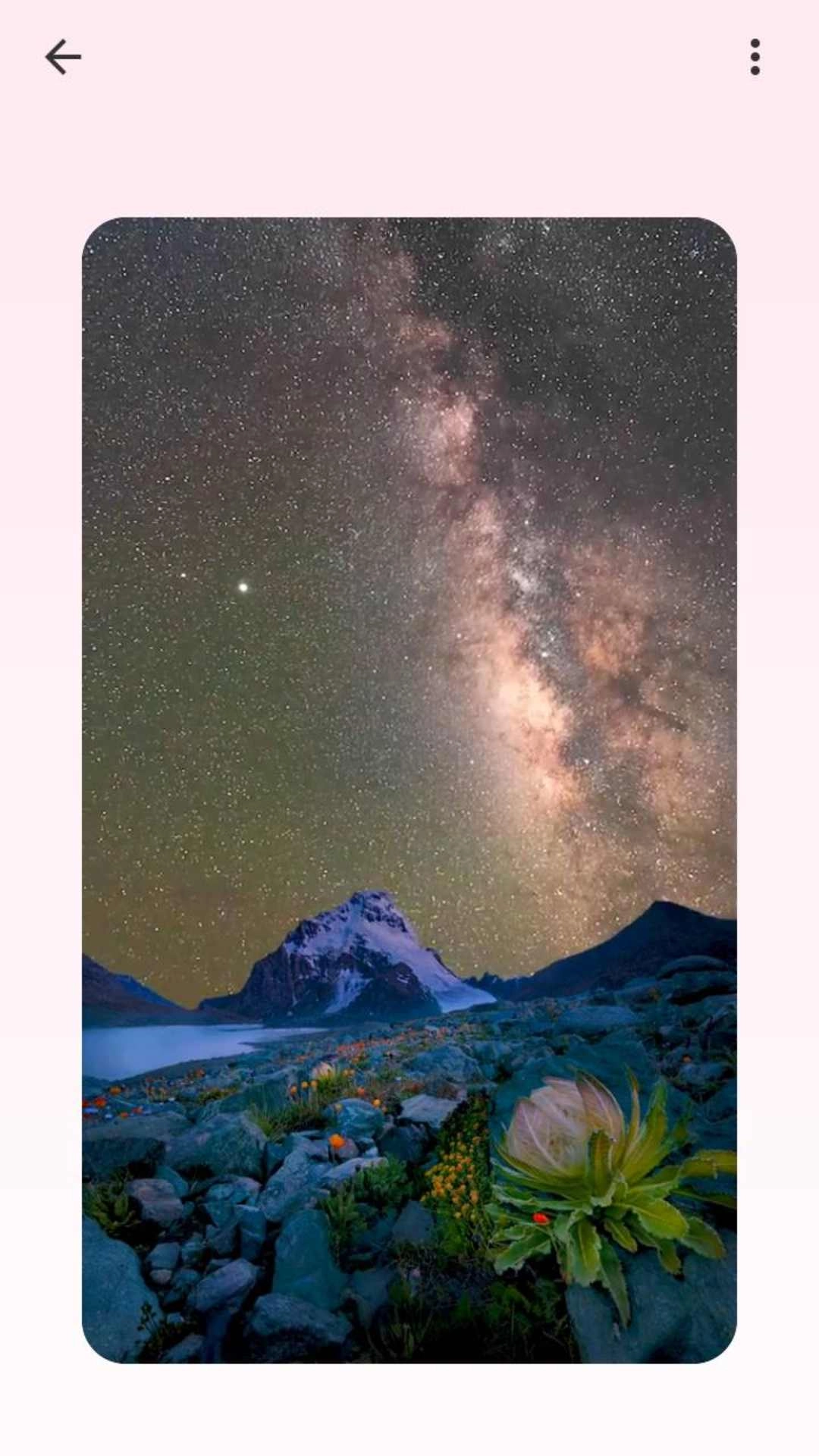 吐司壁纸本安卓直装版图2