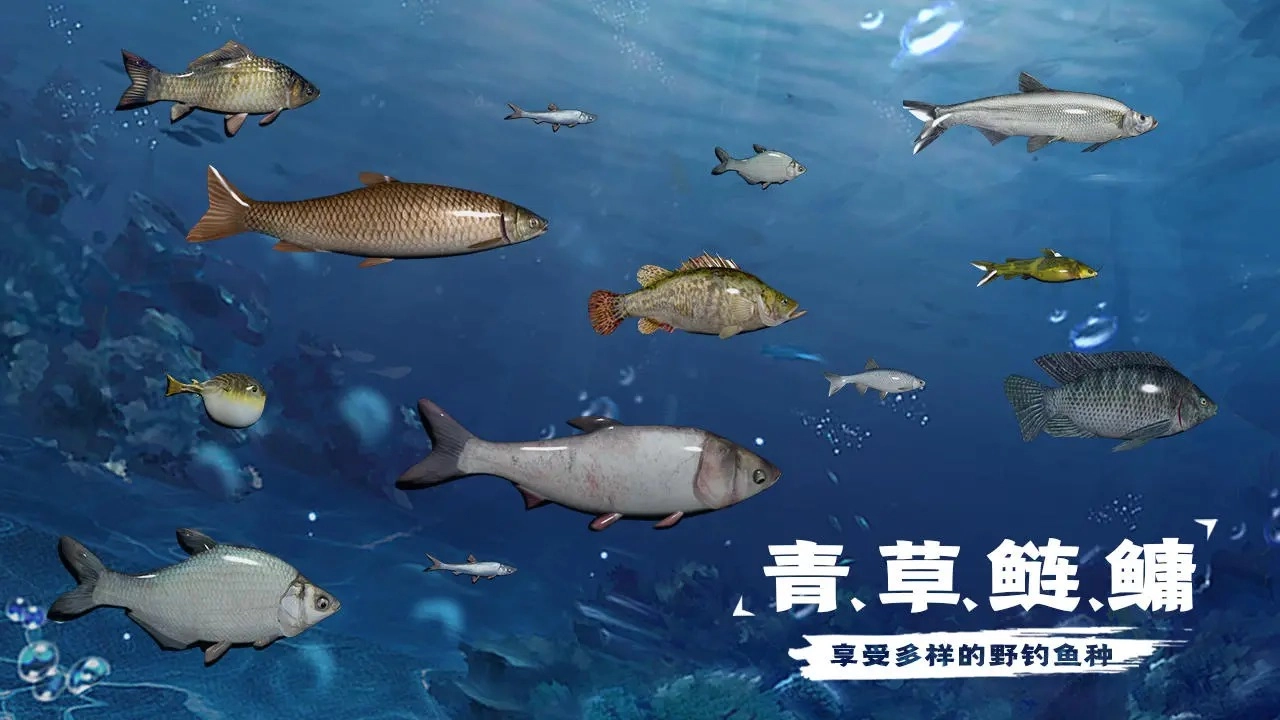 天天钓鱼正版老旧版手游下载