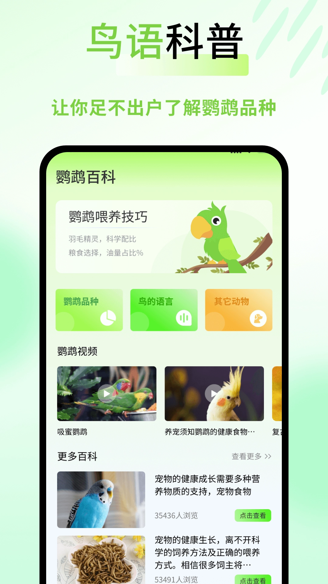鹦鹉语言翻译器(3)