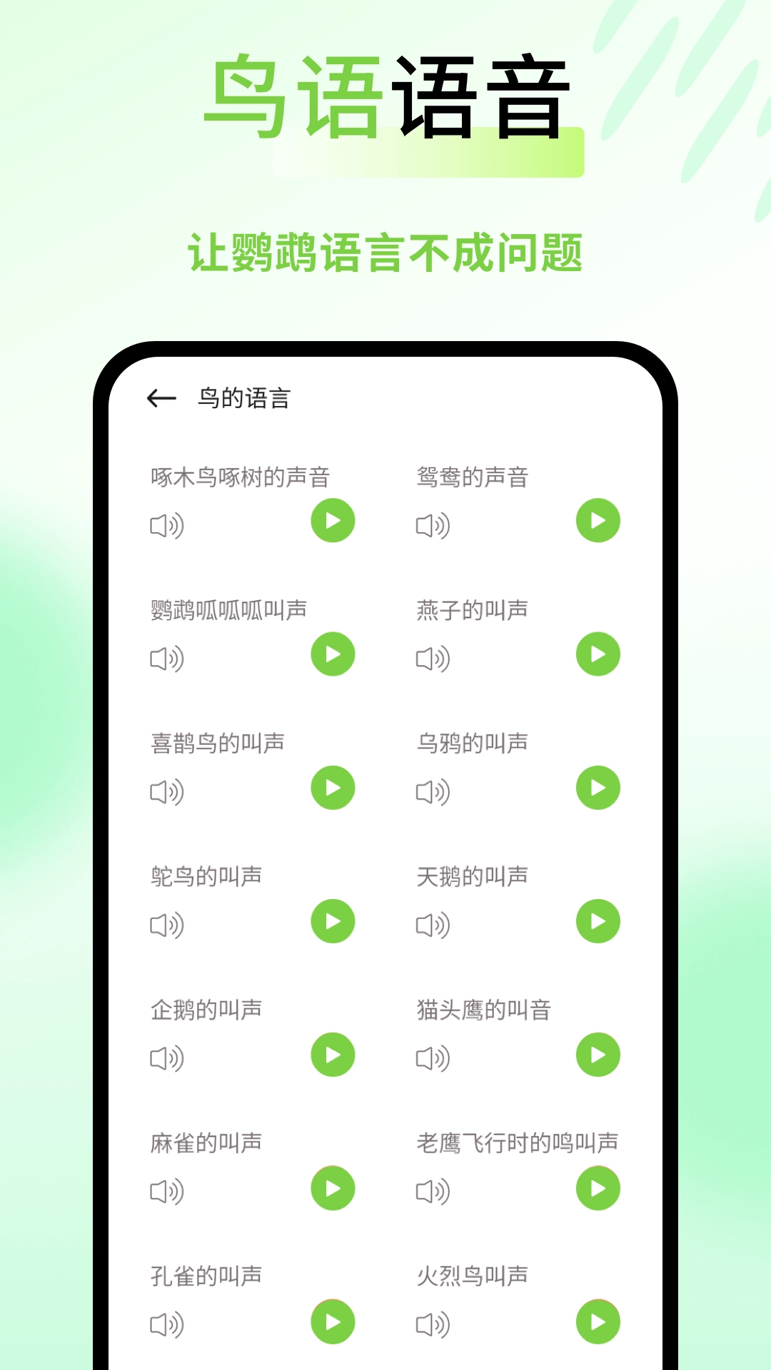 鹦鹉语言翻译器(1)