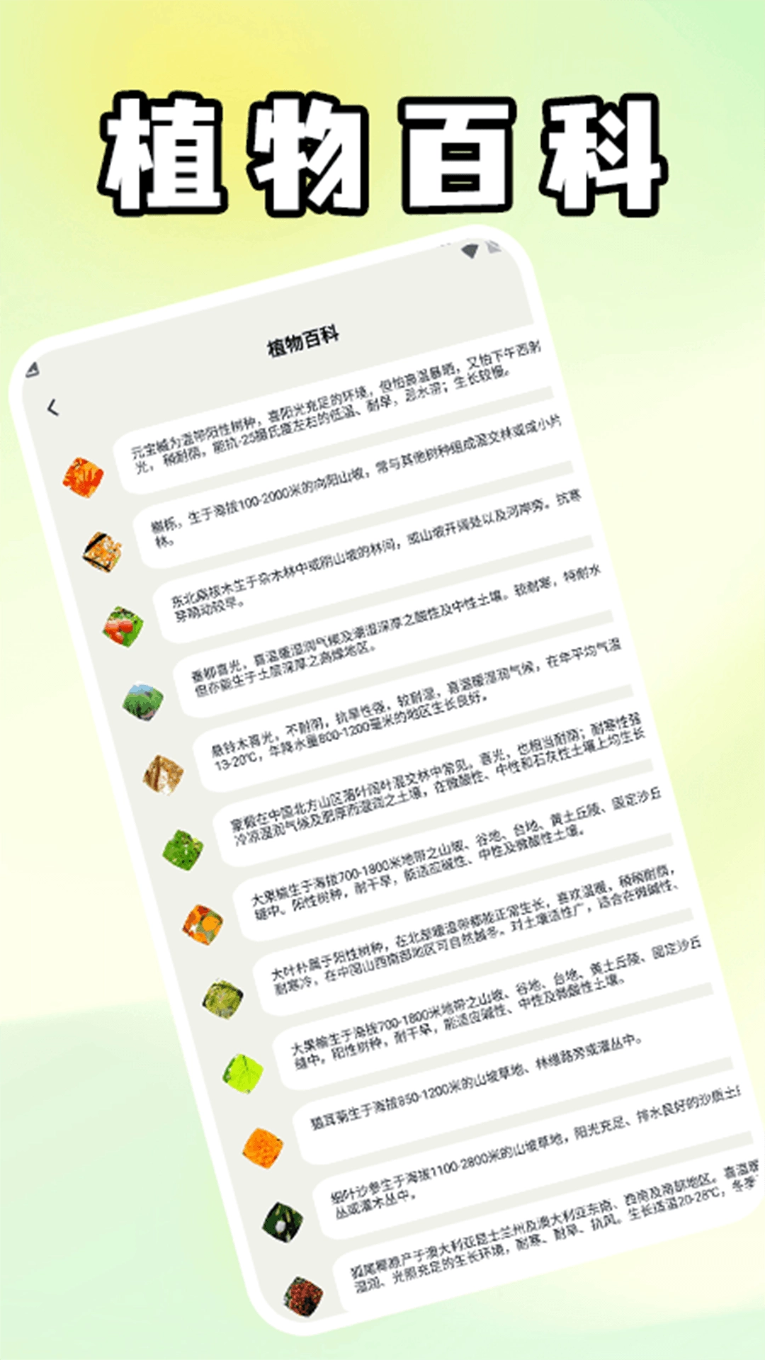 奶奶的小农院(4)