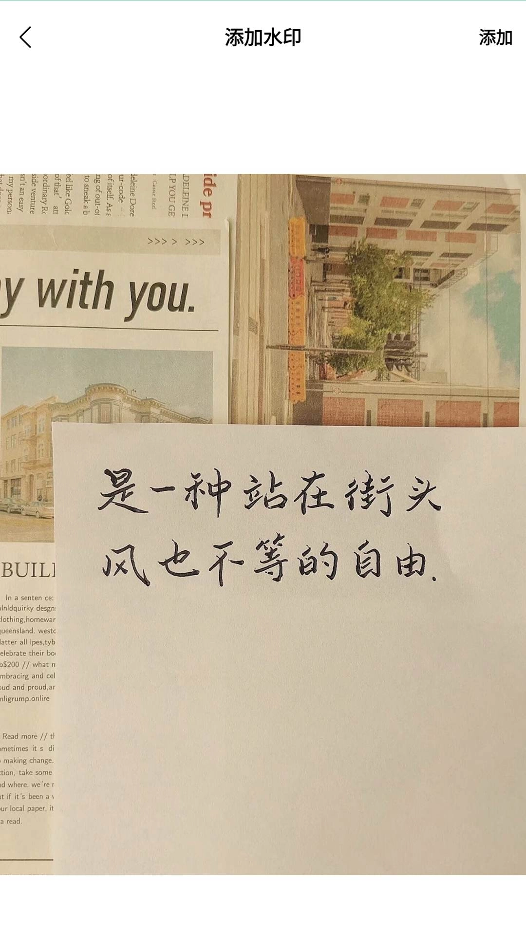 色虎视频免费版(4)