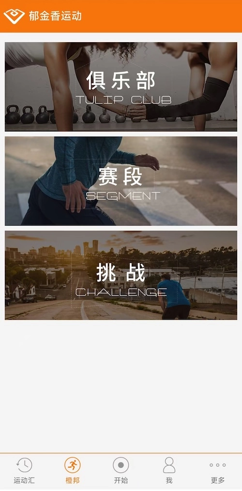 郁金香运动(2)