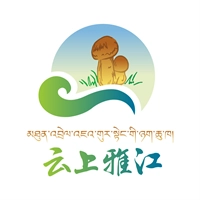 云上雅江安卓免费版