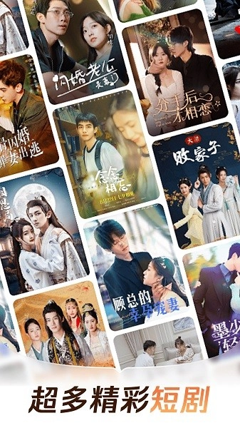 番茄免费短剧(1)