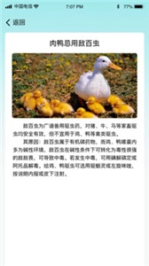 菜园大师1