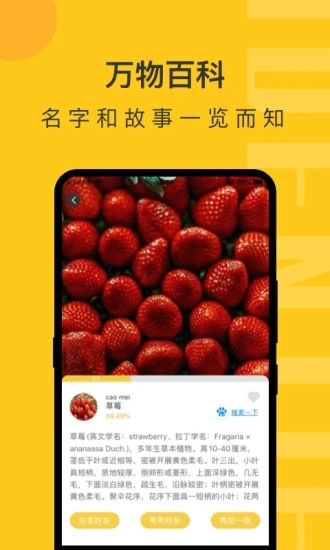 拍照识物