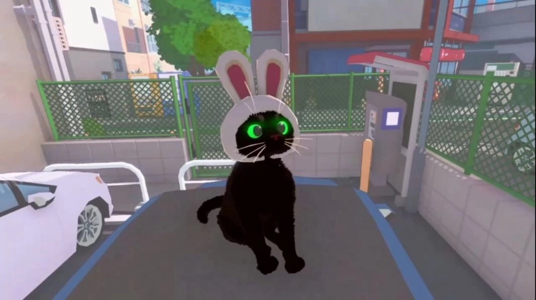 大城小猫